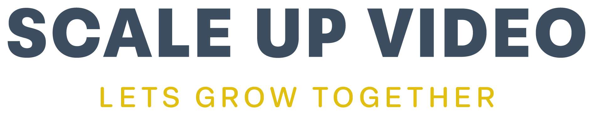Scale Up Video